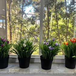 4 Decorating Flowers Pots