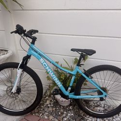 Schwinn Mountain Bike
