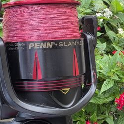 Penn Slammer3 High Speed/Braid /Custom Rod