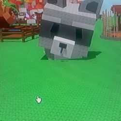 Age 82 Raccoon Big Pet Grow a Garden