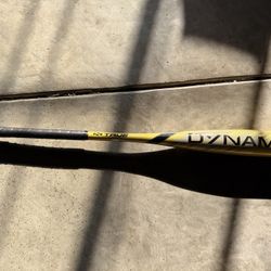 TRUE TEMPER DYNAMIC -11 USA Baseball Bat: YB23DYNB11 29.5" 18.5 oz. 