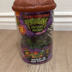 Ninja Turtles 