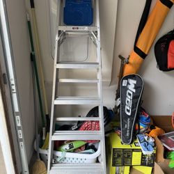 Werner Ladder 6ft 