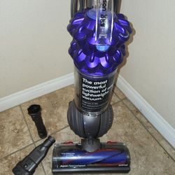 Dyson ball  compact animal
