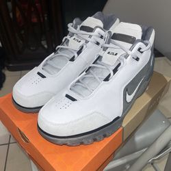 Nike LeBron