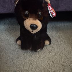 Ty Beanie Baby Kodi 2021 Bear