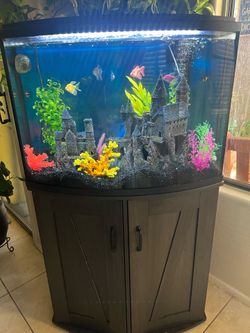 Fish tank/  aquarium with stand