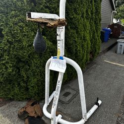 FREE Boxing Speed Bag