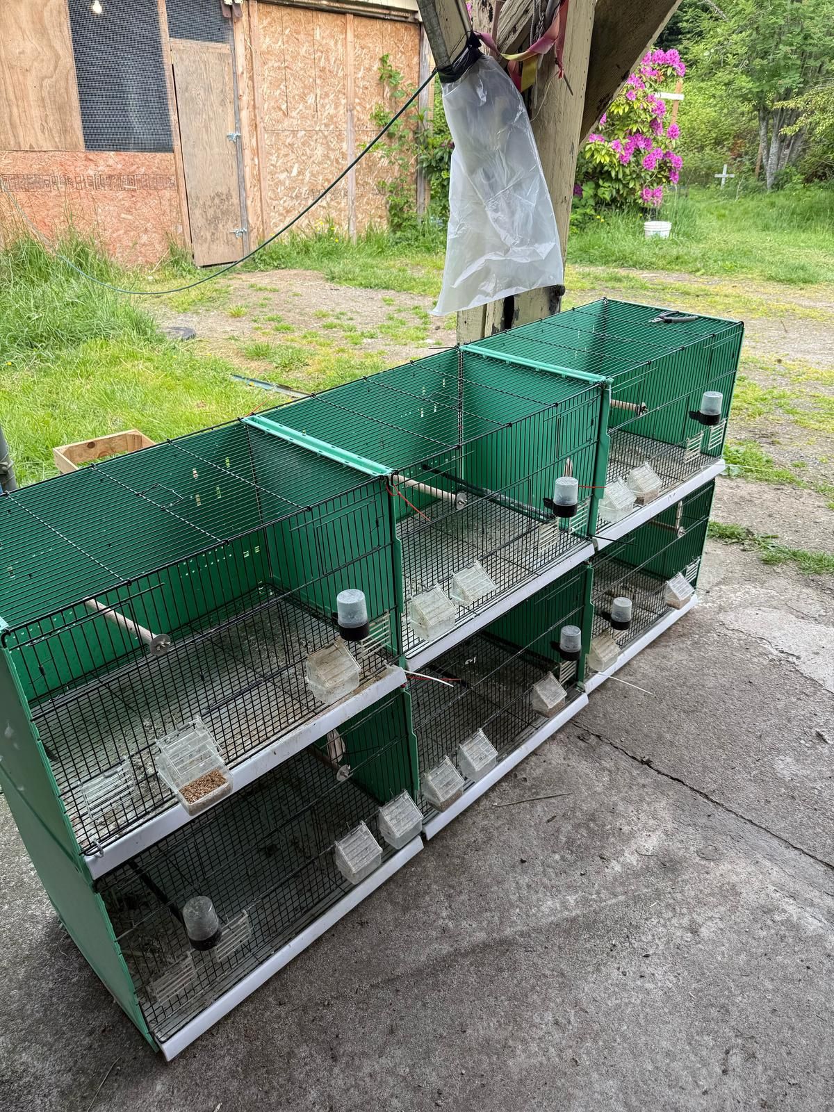 Breeding Bird Cages