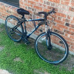 Schwinn Bike
