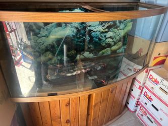 Fish tank with stand