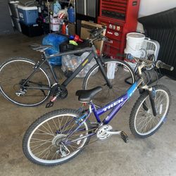 Bicycle Diamondback And Trek