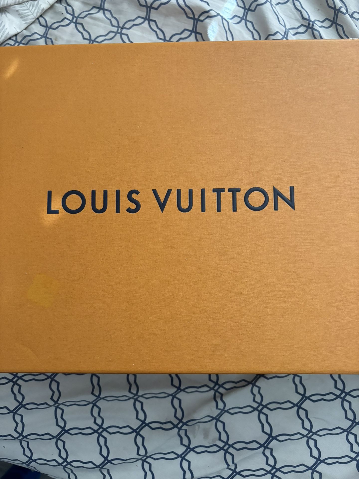Louis Vuitton Skate Shoes