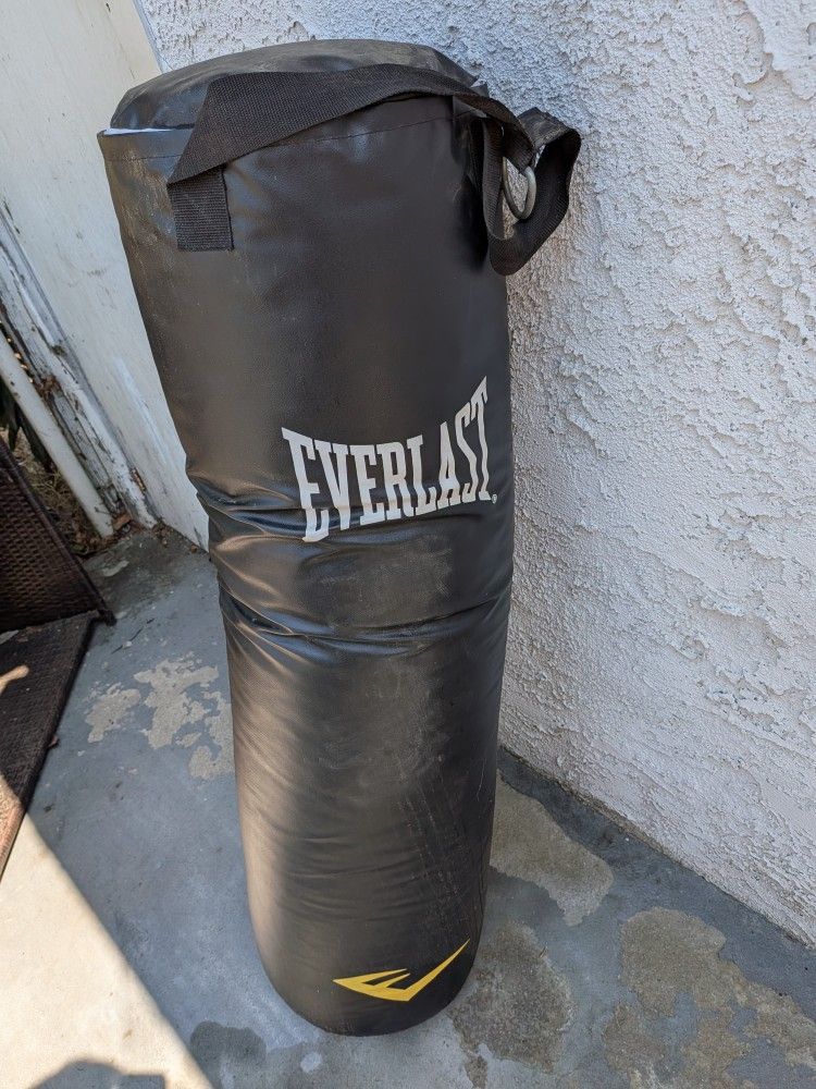100 Pound Punching Bag