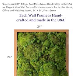 Moss Wall Frame