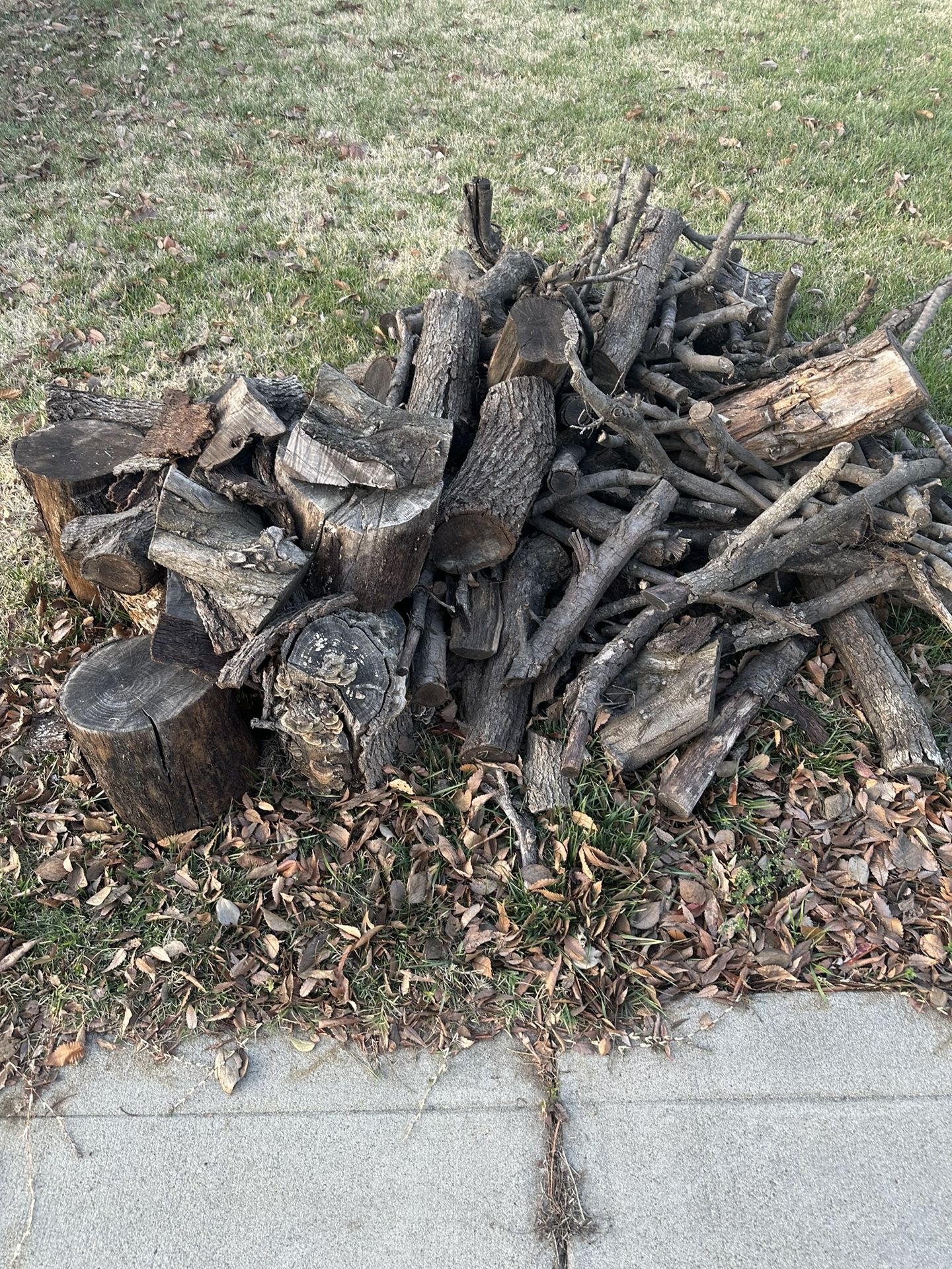 Free Seasoned Firewood