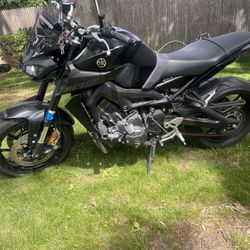 2019 Yamaha FZ-09