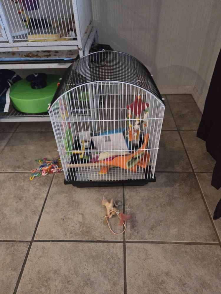 Bird Cage