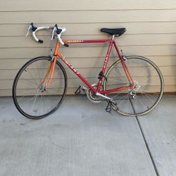 Giant Allegre 1995 Bike