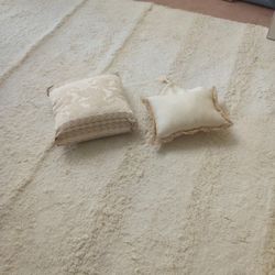 Two Extremely High-quality Furniture Pillows
