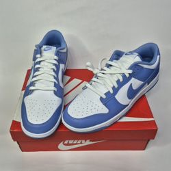 Nike Dunk Low Retro BTTYS 