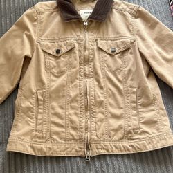 Hollister Jacket brown (Large) 