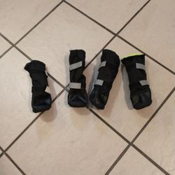 Dog Shoes  Snow