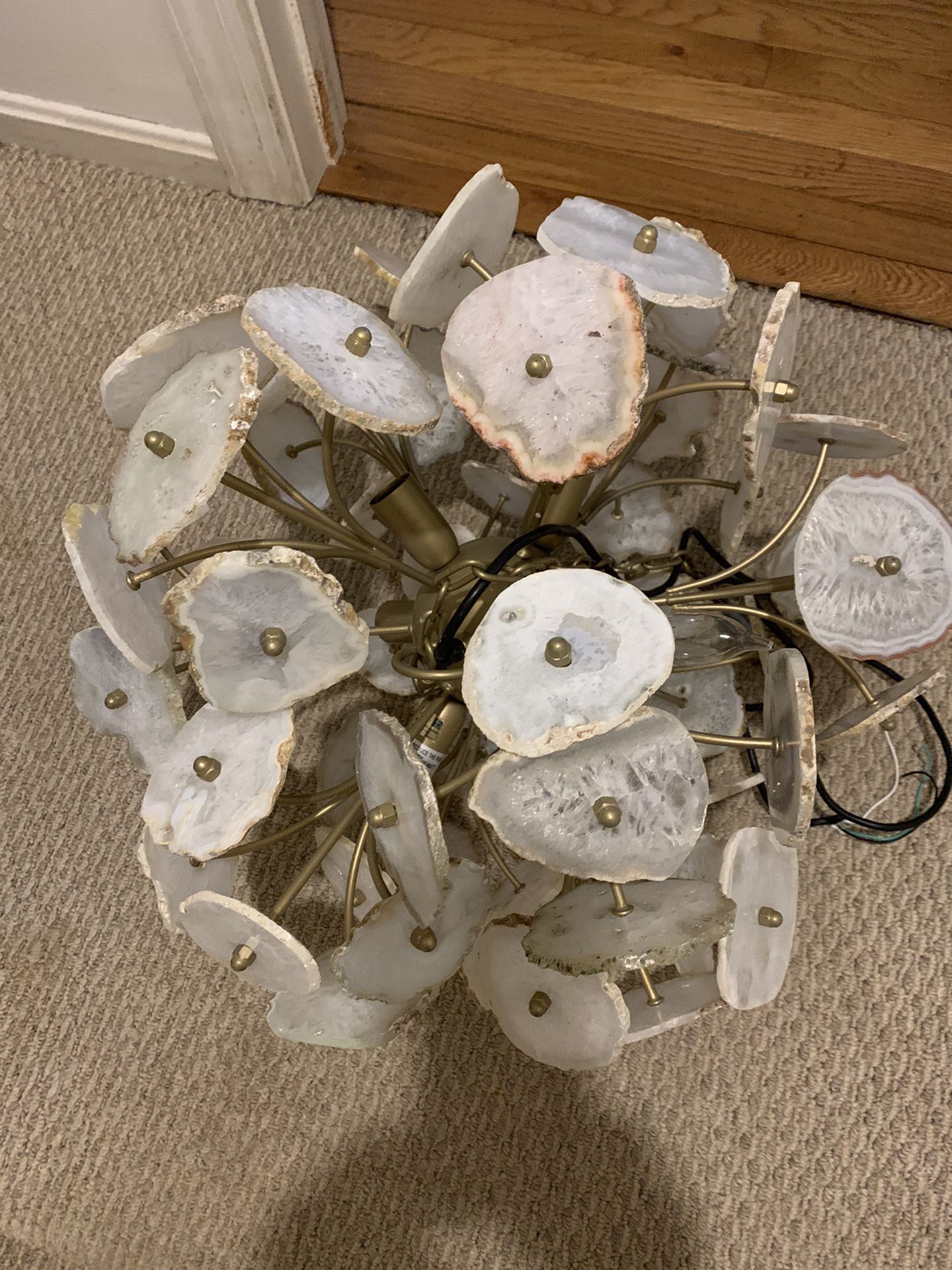 Chandelier, shell design, with 6 lights