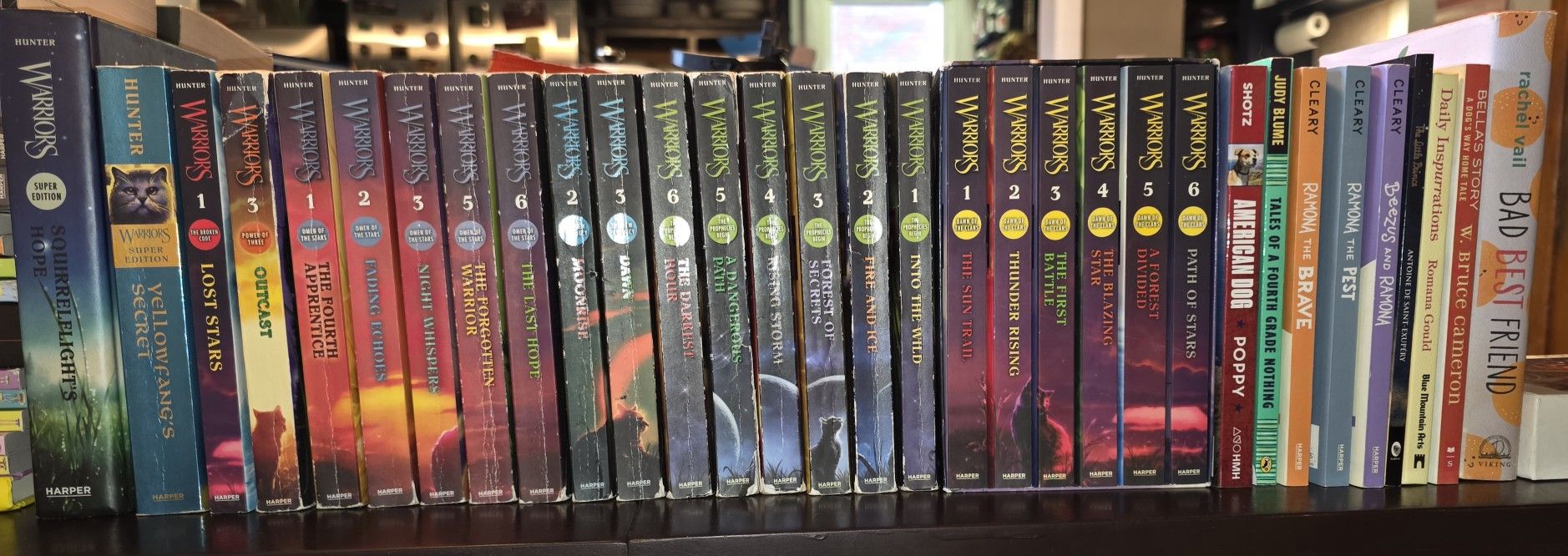 Massive Beginner Novel Collection