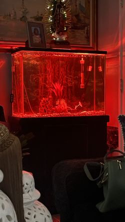 Fish Tank 35 Gallons 