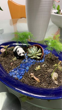 Blue mini garden minimalist succulent design planter vase