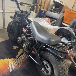 Mini Bike