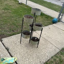 Plant Pot