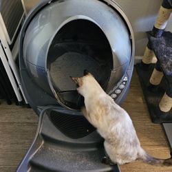 Litter Robot 3 (Works Completely Fine) 