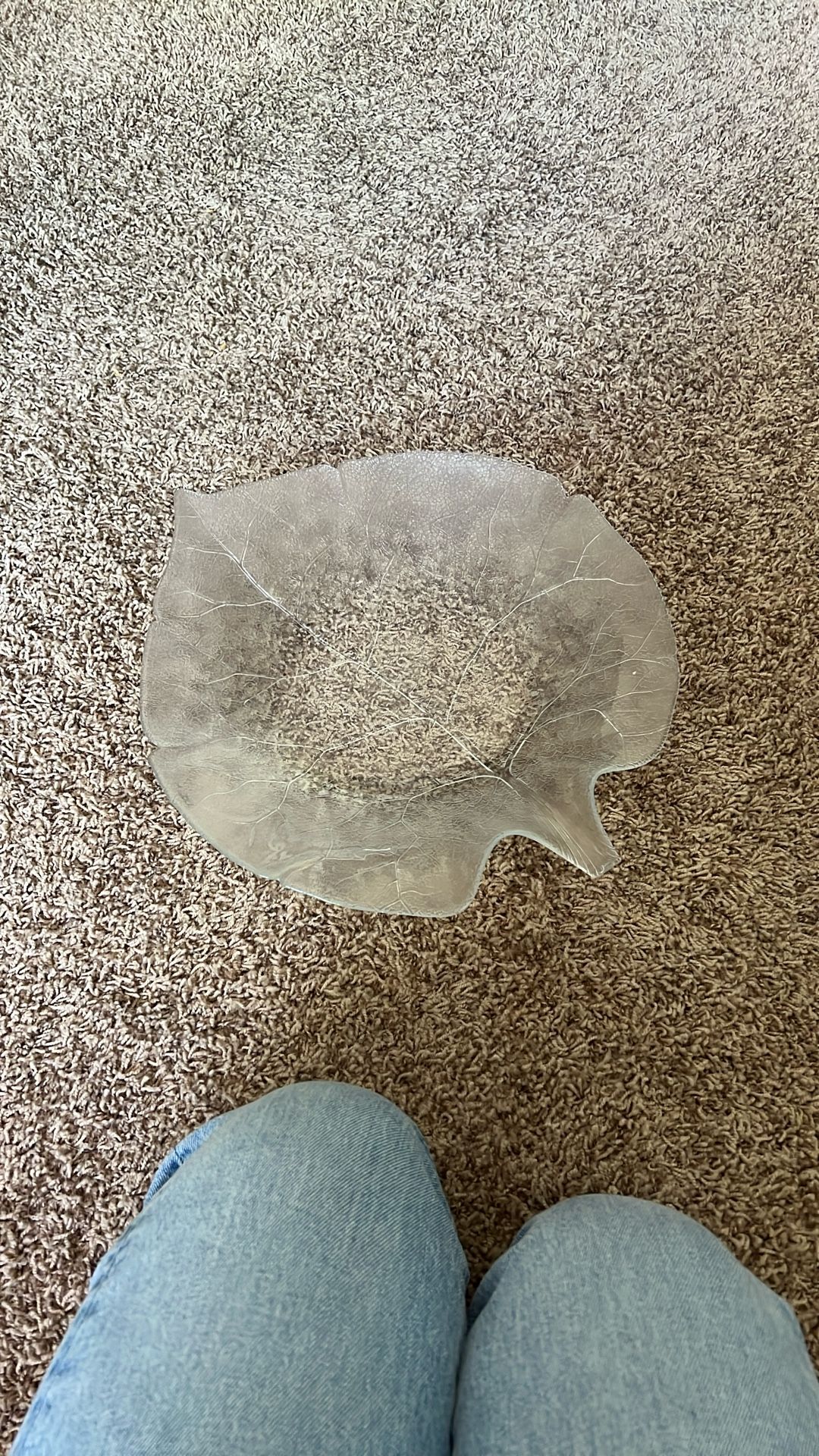 Arcoroc ASPEN Leaf 15" x 13 1/2" Large Bowl/Centerpiece Console - Beautiful MINT