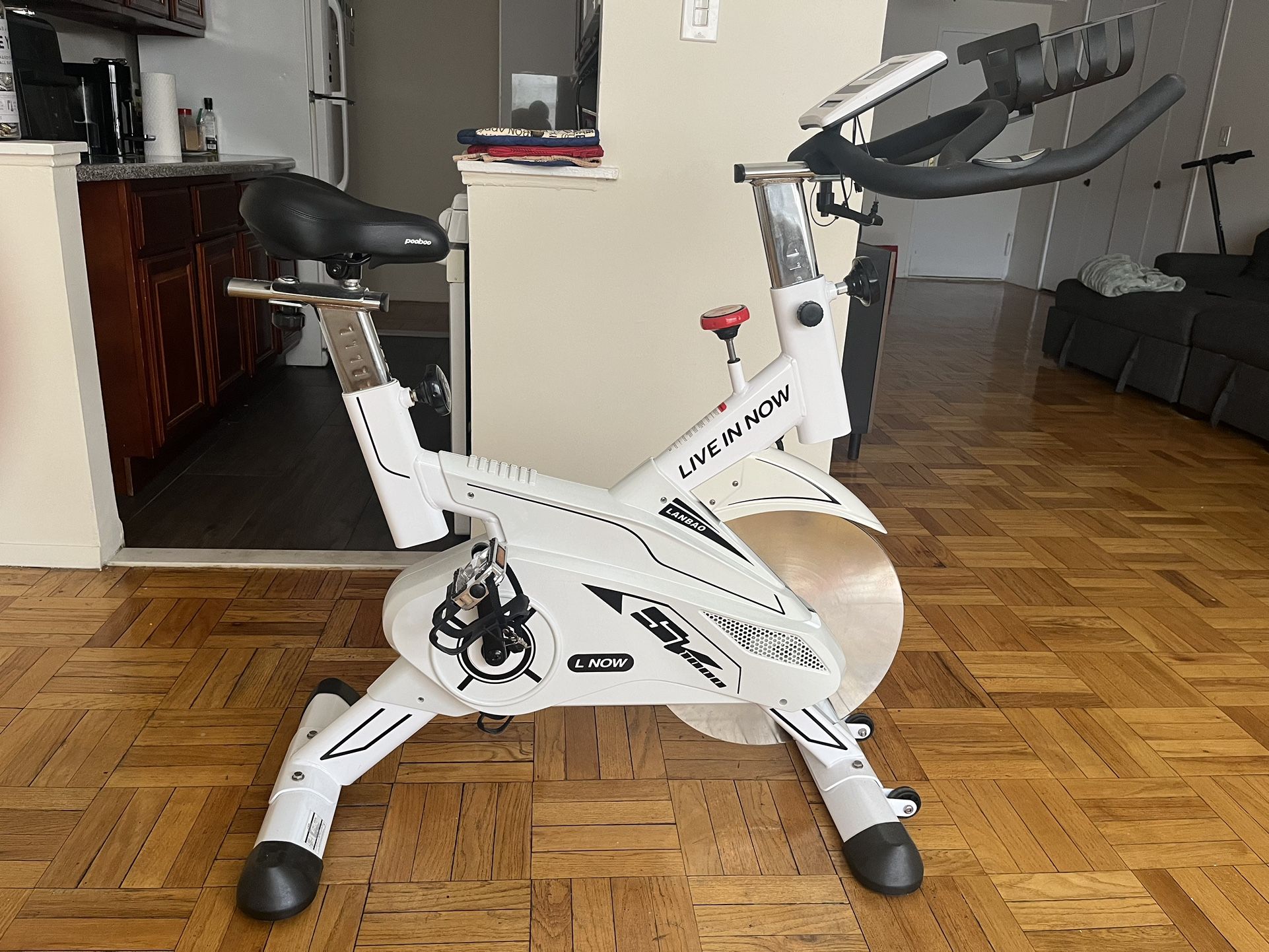 Stationary Lanbao SV1000 Bike