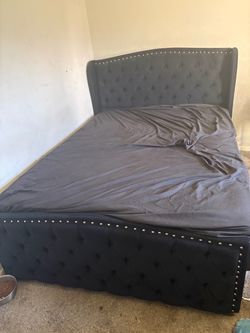 Grey Tufted Upholstered Queen size Bed Frame with Nailhead Trim