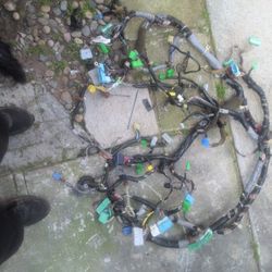 Dashboard Wire Harness For A 2003 Acura tl Type S