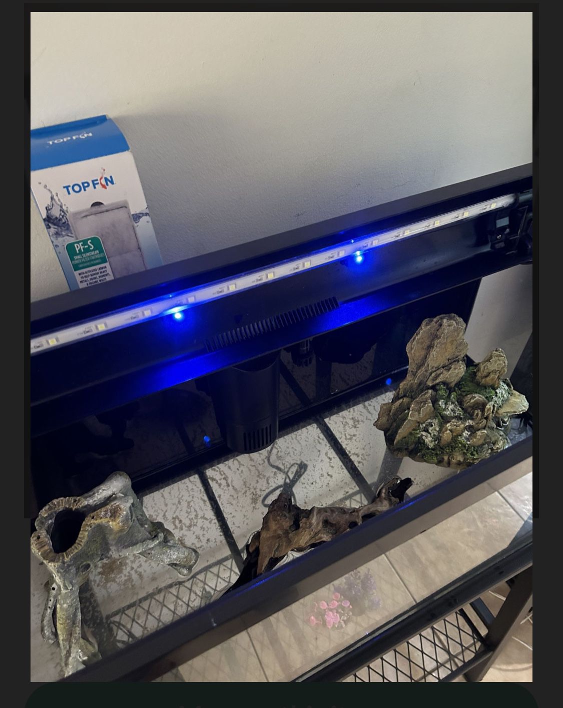 20 GALLON LONG TANK WITH STAND AND EXTRAS