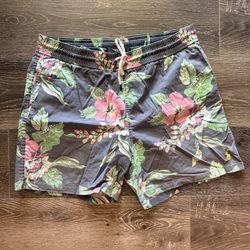 Ralph Lauren POLO Mens Swimming Trunks Sz L