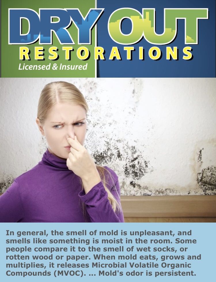 Mold removal