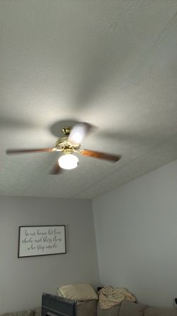 Ceiling fan