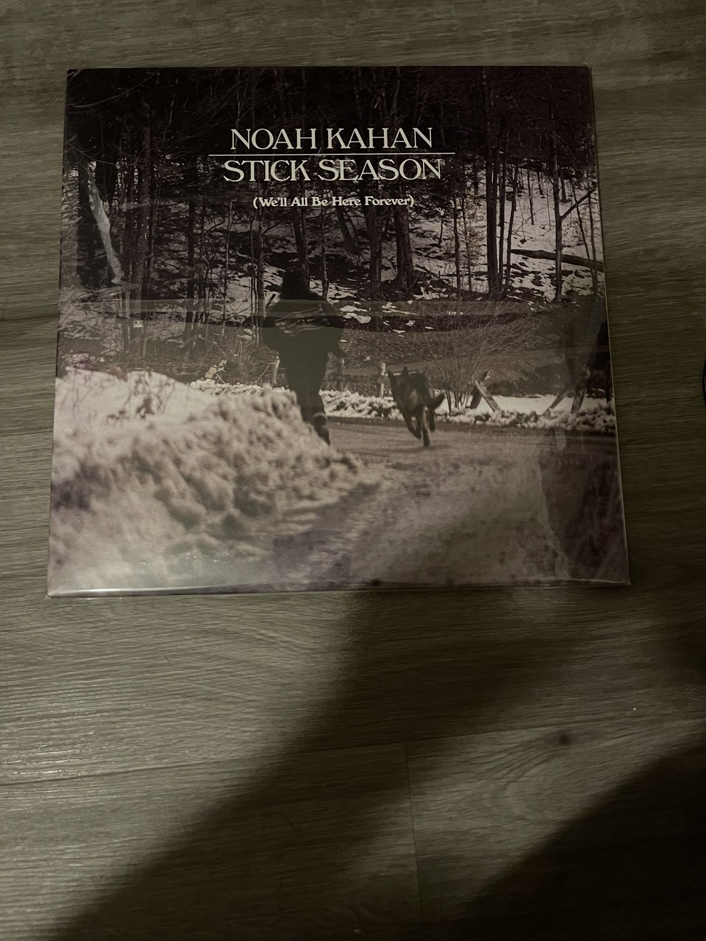 Stick Season (We'll All Be Here Forever) By Noah Kahan