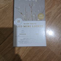 LED Mini Lights 