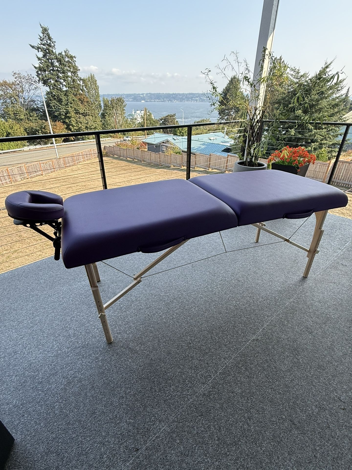 Earthlite Professional Massage Table