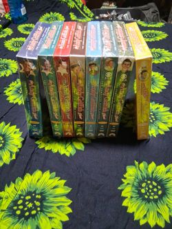 The Andy Griffith Show