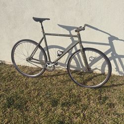 Fixed Gear