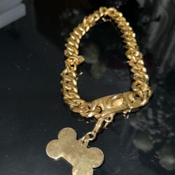 Gold Dog Chain Collar 