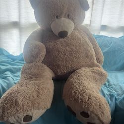 Big Teddy Bear 