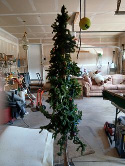 Charlie Brown Christmas tree